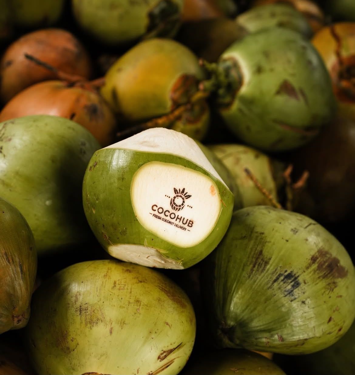 The Cocohub logo engraved on a young coconut, among a pile of coconuts