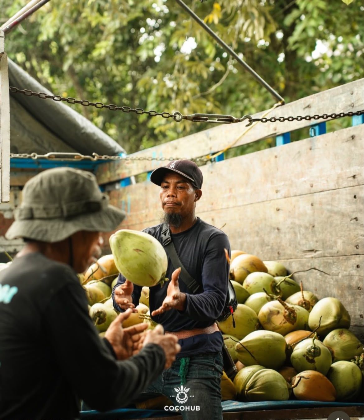 The Cocohub team loading young coconuts onto a truck